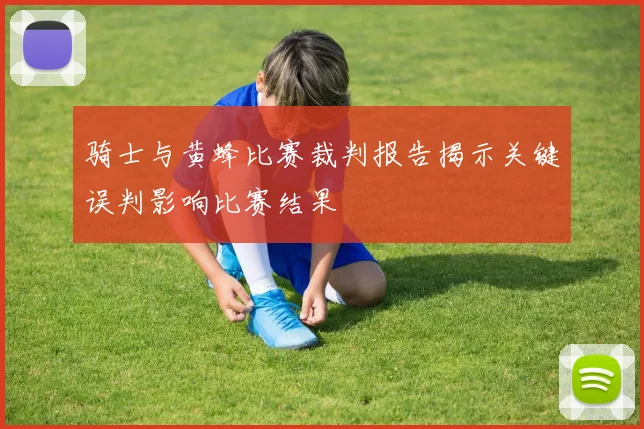 骑士与黄蜂比赛裁判报告揭示关键误判影响比赛结果