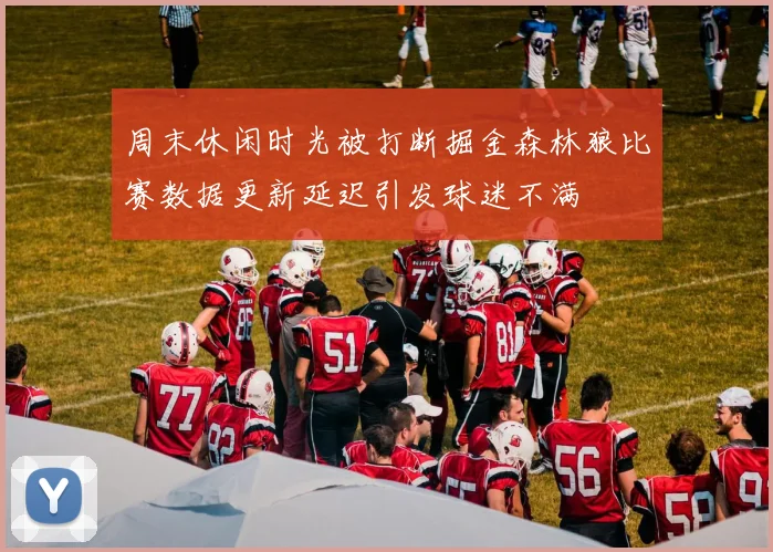周末休闲时光被打断掘金森林狼比赛数据更新延迟引发球迷不满