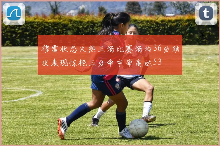 穆雷状态火热三场比赛场均36分助攻表现惊艳三分命中率高达53