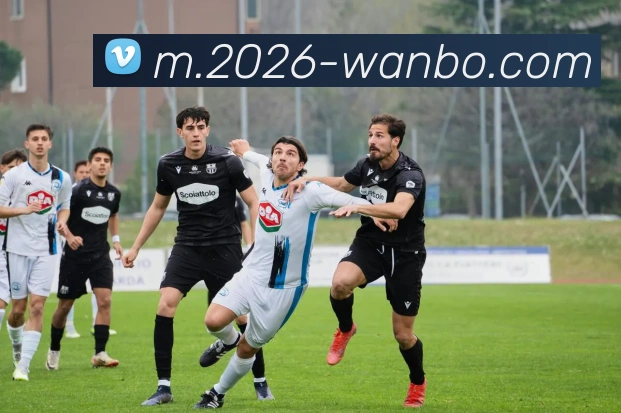 App Interface Preview